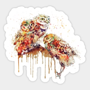 Three Cute Owls Watercolor Painting Sticker